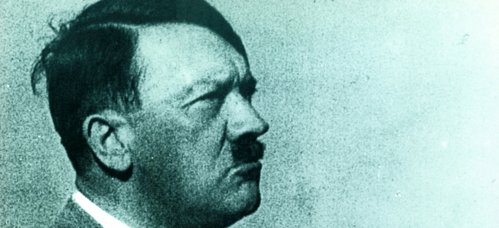 Watch Hitler - A Career | Netflix